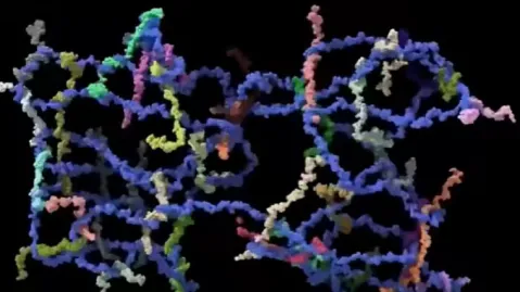 picture of multi-coloured structure spanning a net over a black background