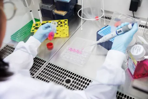hands in labcoat and gloves using a pipette in a lab
