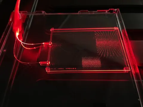 red light laser of vitrealab